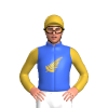 Royal Blue, Gold Fern, Sleeves And Cap With Royal Blue Lightning Bolts, Royal Blue Pom Pom