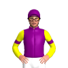 Purple, Yellow Sleeves, Purple Armbands