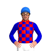 RED, MEDIUM BLUE CHECKS, MEDIUM BLUE SLEEVES, Blue cap