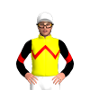 YELLOW, RED ZIGZAG CHEVRON,BLACK SLEEVES, RED CHEVRON, White cap