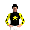 Jockey Silk