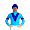 Jockey Silk
