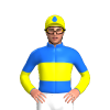 Jockey Silk
