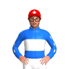 Jockey Silk