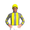 Jockey Silk