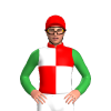 Jockey Silk