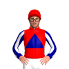 Jockey Silk