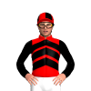 Jockey Silk
