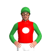 Jockey Silk