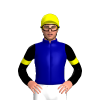 Jockey Silk