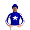 Jockey Silk