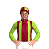 Jockey Silk