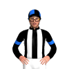 Jockey Silk