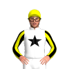 Jockey Silk