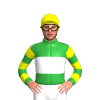 Jockey Silk