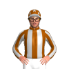 Jockey Silk