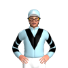 Jockey Silk
