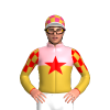 Jockey Silk