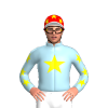 Jockey Silk
