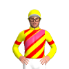 Jockey Silk