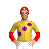 Jockey Silk