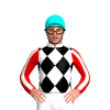 Jockey Silk