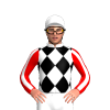 Jockey Silk