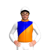Jockey Silk