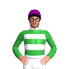Jockey Silk