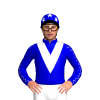 Jockey Silk