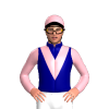 Jockey Silk