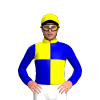 Jockey Silk