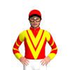 Jockey Silk