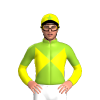 Jockey Silk