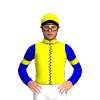 Jockey Silk