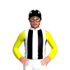Jockey Silk