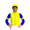 Jockey Silk