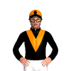 Jockey Silk
