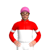 Jockey Silk