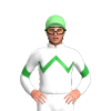 Jockey Silk
