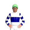 Jockey Silk