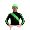 Jockey Silk