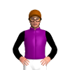 Jockey Silk
