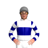 Jockey Silk
