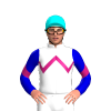 Jockey Silk