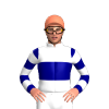 Jockey Silk