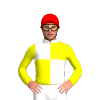 Jockey Silk