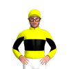 Jockey Silk