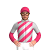 Jockey Silk