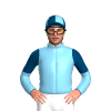 Jockey Silk